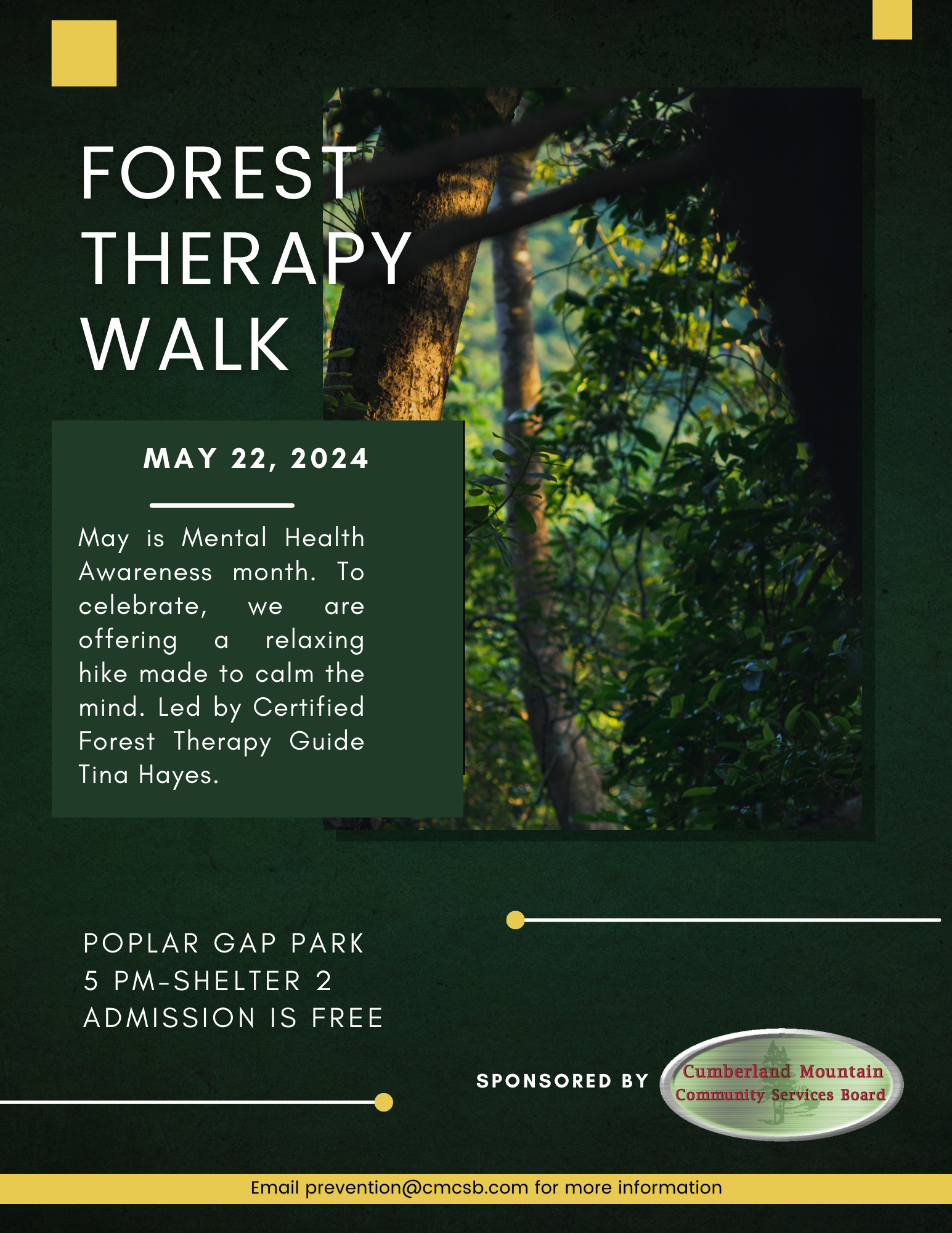 Forest Therapy Walk